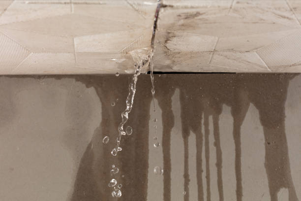 Professional Structural Drying technician working in Old Chatham, NY